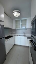 Rhapsody On Mount Elizabeth (D9), Apartment #561595451